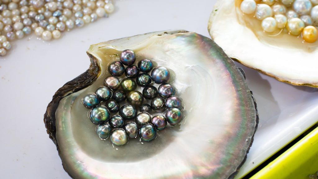 Different types of pearls - are they all the same?